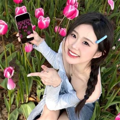 秩序信条