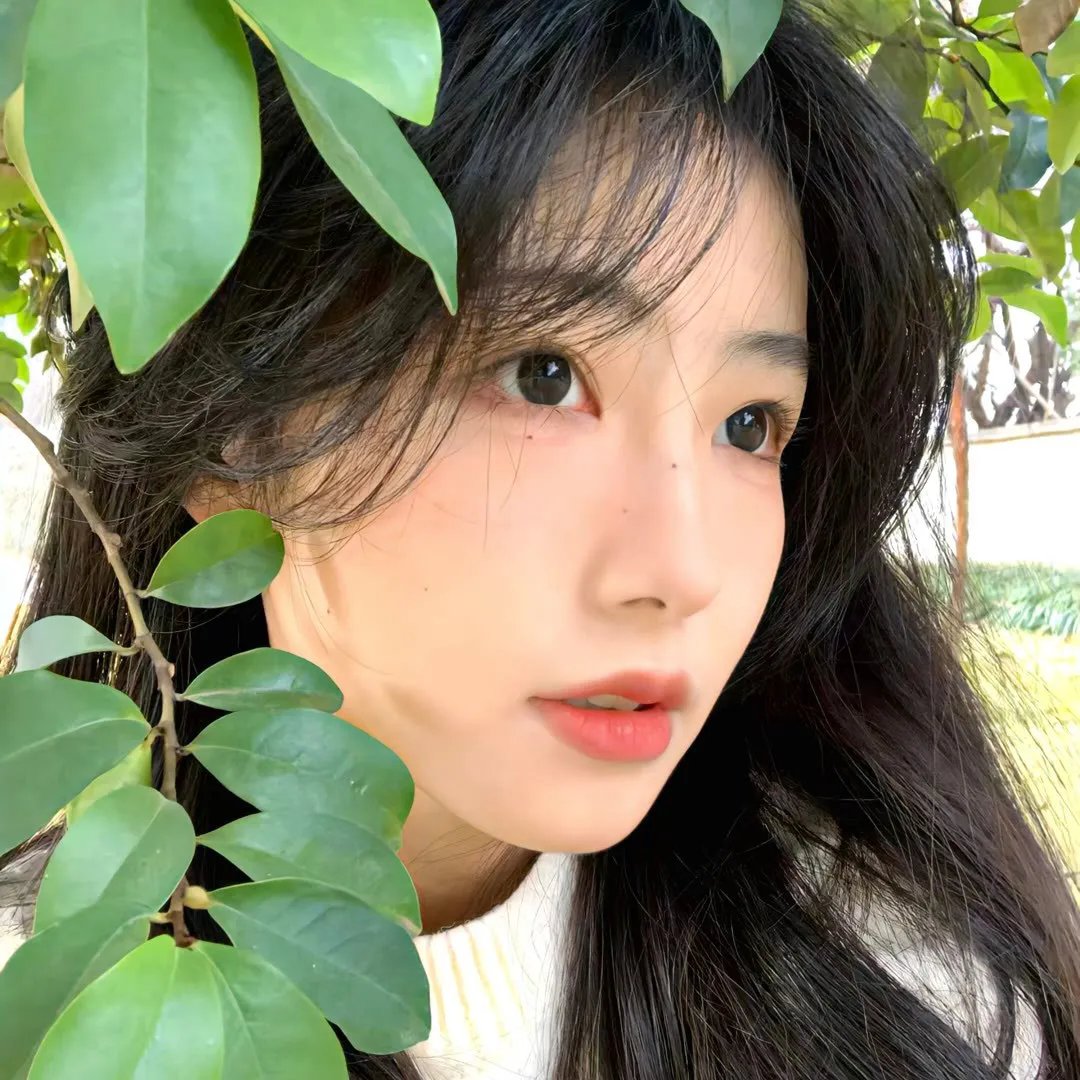 趴兔青春期